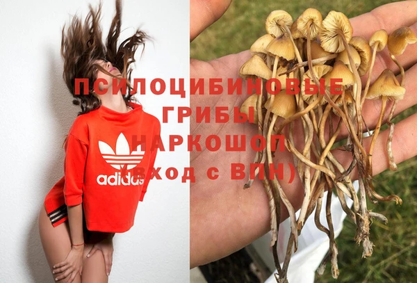 мдпв Нягань