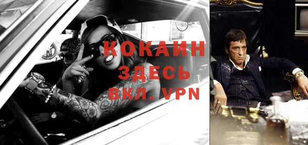 2c-b Новозыбков